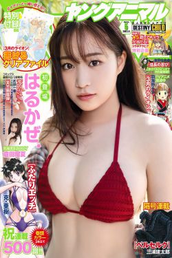 繁花免费观看完整版电视剧